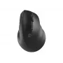 Langaton optinen hiiri NATEC CRAKE 2 — Bluetooth 5.2, 2400 DPI, 6 painiketta, oikeakätinen, musta