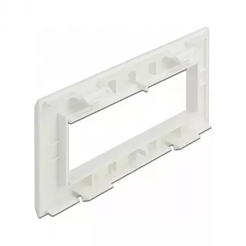 Moduulipidike DeLOCK Easy 45 175 x 80 mm