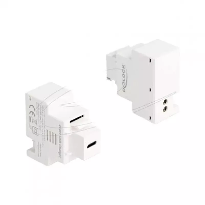 DELOCK Keystone-moduuli USB-C PD 20W latausliitännällä, valkoinen