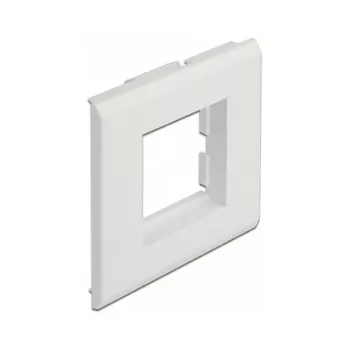 Moduulipidike DeLOCK Easy 45 85 x 80 mm