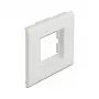 Moduulipidike DeLOCK Easy 45 85 x 80 mm