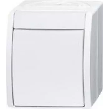 Busch Jaeger katkaisija 2601/2 W-54 (2CKA001085A1627)