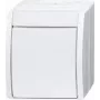 Busch Jaeger katkaisija 2601/2 W-54 (2CKA001085A1627)