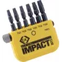 C.K. ruuvauskärkisarja 6-osainen TORX Torsion Control -teknologia (T4513)