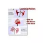 Laminaattikalvot Olympia 1x100 DIN A4 80 mikronia