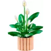 LEGO BOTANICALS 11504 Rauhanlilja