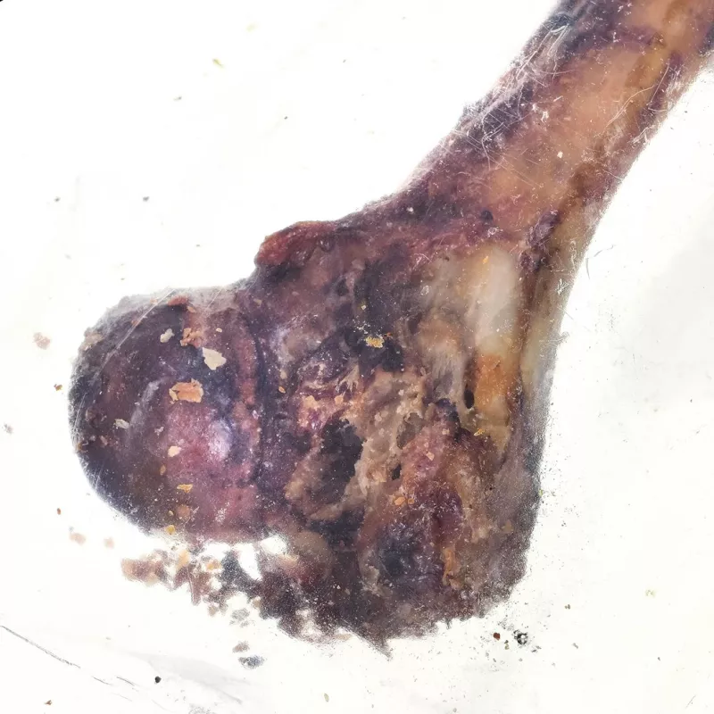PETMEX Schinken-Knochen - pureskeluherkku koirille - 1 kpl