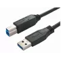 USB-kaapeli Bachmann 917.1205 USB 3.2 Gen 1 1 m USB-A - USB-B musta
