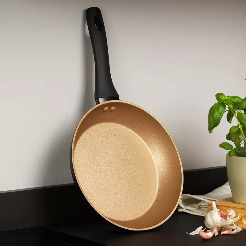 Paistinpannu Russell Hobbs RH01666BEU7 24 cm, tarttumaton, musta