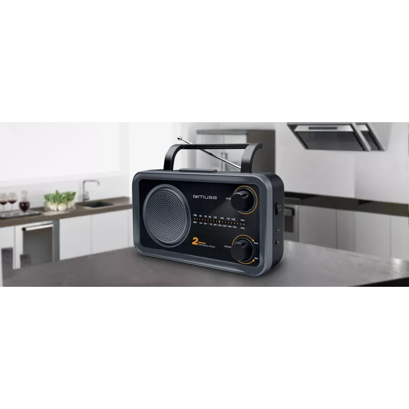 Muse | 2-alueinen kannettava radio | M-06DS | AUX-tulo | harmaa