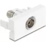 Delock 90844 Easy 45 -moduuli IEC-naaras F-naaras, valkoinen