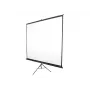 Jalustallinen projektiokangas Elite Screens T85NWS1 2,16 m (85