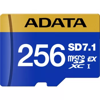 ADATA UD256GEX3L1-C muistikortti 256 GB MicroSDXC UHS-II