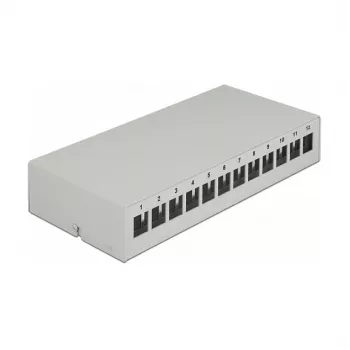 Kytkentäpaneeli DeLOCK Keystone 12 port harmaa