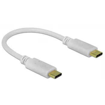 Delock - USB-C-/virtakaapeli - 24-nastainen USB-C-urosliitin - 24-nastainen USB-C-urosliitin - 5 A - 15 cm - USB-virtalähde (100 W), tukee Power Delivery 2.0 - valkoinen (85357)