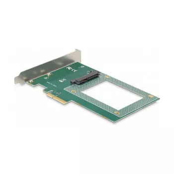 DeLOCK PCI Express x4 -kortti 1 x sisäinen U.2 NVMe SFF-8639