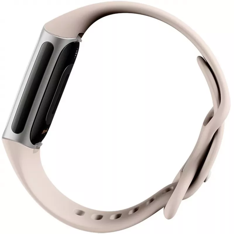 Fitbit GA05185-EU tuote hopea