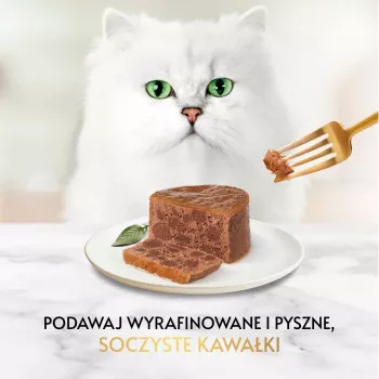 Märkäruoka kissoille Gourmet pâté kanilla 85 g