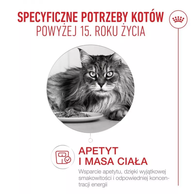 ROYAL CANIN Ageing 15+ kuivaruoka kissoille – 4 kg