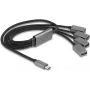 DeLOCK 64210 USB 2.0 Type-C -keskitin 480 Mbit/s musta harmaa
