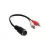 Alcasa AD-2CS5B audiokaapeli 0,2 m 2 x RCA DIN (5-pin) musta - punainen - valkoinen (AD-2CS5B)