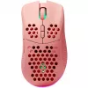Hiiri Deltaco GAM-120-P