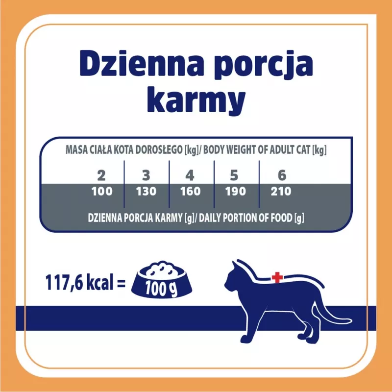 VET RESPONSE Renal - märkäruoka kissoille - 85 g