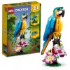 LEGO rakennussarja Exotischer Papagei 31136 — Creator-näyttömalli, 253 osaa, 220×120×110 mm