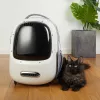 PETKIT lemmikkien matkareppu Breezy 2 (Cream White)