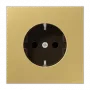 JUNG ME 1520 C pistorasia Type-F messinki (ME1520C)