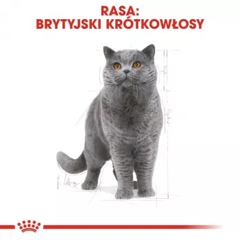 Märkäruoka kissoille Royal Canin British Shorthair Adult pussi 85 g, siipikarja, ROYAL CANIN Feline Breed Nutrition