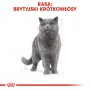 Märkäruoka kissoille Royal Canin British Shorthair Adult pussi 85 g, siipikarja, ROYAL CANIN Feline Breed Nutrition