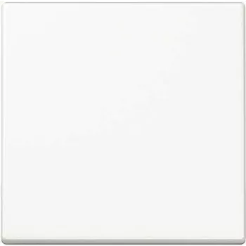 JUNG A1700WW A1700WW ohjauspainike Standard (A1700WW)
