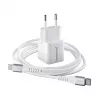 Mobiililaturi Intenso 7803052 Universal AC pikalataus 20V
