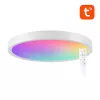 Älykäs kattovalaisin 30cm WiFi/Bluetooth 16M RGBCW Gosund LB12 1920lm Tuya + kaukosäädin.