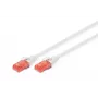 Verkkokaapeli Digitus CAT 6 U/UTP LSZH 0,25 m
