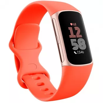 Fitbit Charge 6 - Champagne Gold alumiini - aktiivisuusranneke Infinity Band - silikoni - korallin värinen - NFC, Bluetooth - 37.64 g (40-56-7910)
