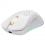 Pelihiiri Deltaco GAM-120-W RF langaton USB Type-C