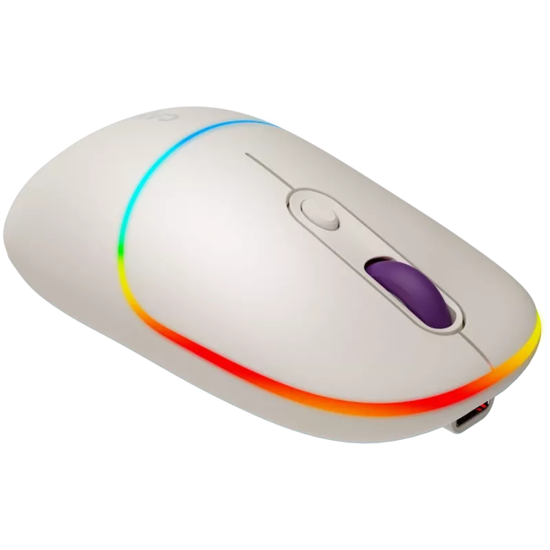 CANYON hiiri MW-22 2-in-1 BT/langaton Rice