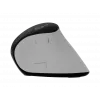 Langaton pystyhiiri NATEC Euphoniе Pro Bluetooth 5.0, 4000 DPI, ohjelmoitava, hiljainen, valkoinen