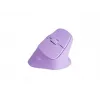 NATEC Crake 2 -hiiri yleismalli oikeakätisille RF Wireless + Bluetooth optinen 2400 DPI
