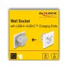 DeLOCK 11499 pistorasia tyyppi F USB-A ja USB-C valkoinen