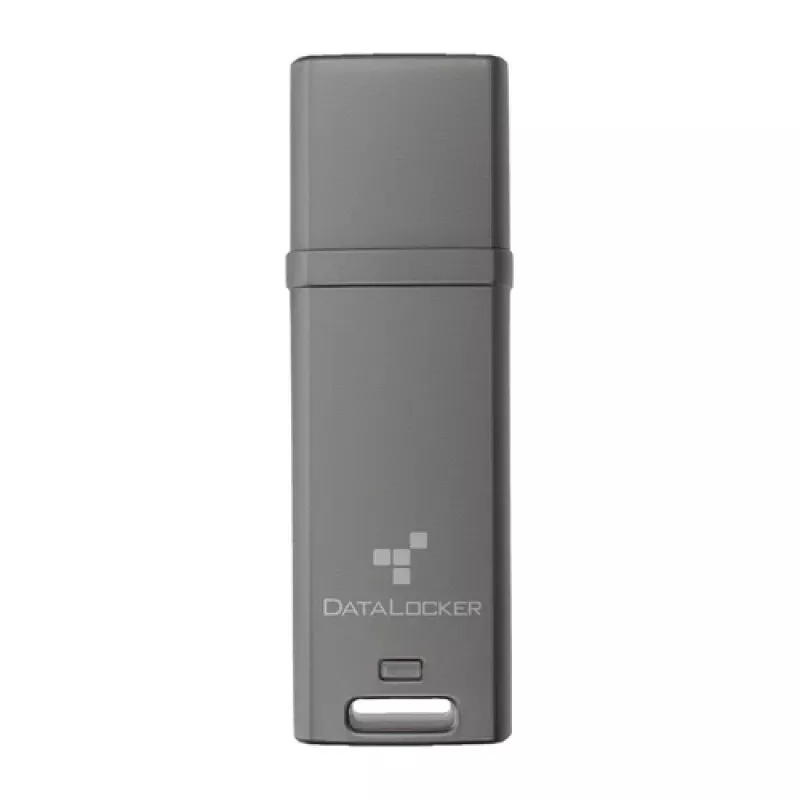DataLocker DL GO DLGO-004 4 GB USB-muistitikku, 256-bittinen AES XTS, FIPS 197, MFA, valikoima