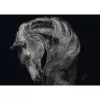 Palapeli Schmidt Spiele Ashley Rader Power Horse — 1000 palaa, MPN 58543