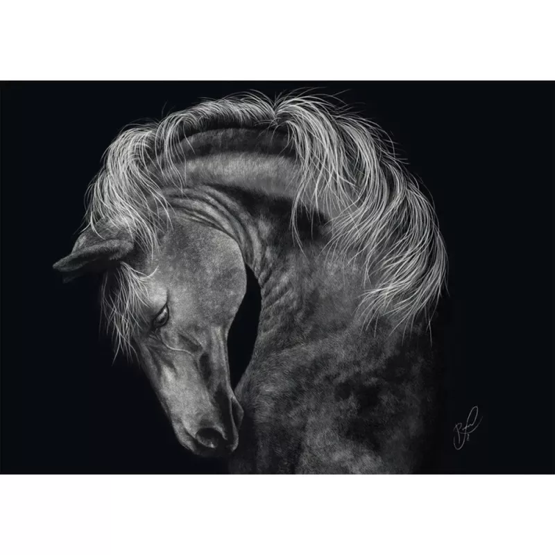 Palapeli Schmidt Spiele Ashley Rader Power Horse — 1000 palaa, MPN 58543