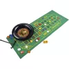 Deluxe-setti - ruletti 25 cm, lautapeli
