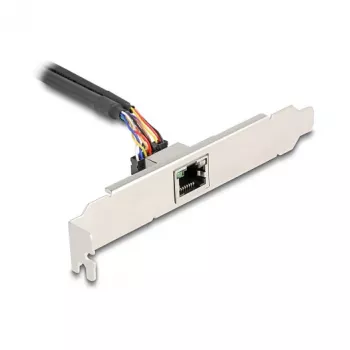DeLOCK 95268 sisäinen RJ-45-sovitin Mini PCI Express 2,5 Gbit/s