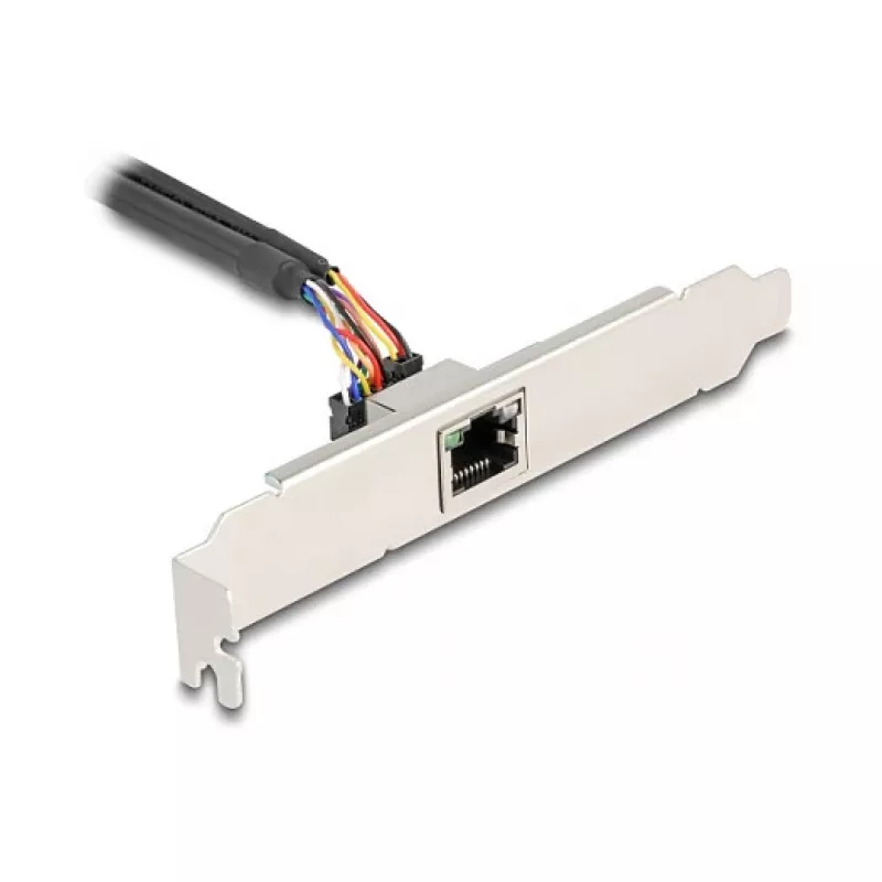 DeLOCK 95268 sisäinen RJ-45-sovitin Mini PCI Express 2,5 Gbit/s