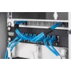 Kaapelinhallinta Digitus DN-10 ORG-1/2U