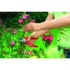 Ruohonleikkuri WOLF-Garten RR 1500 BASIC PLUS